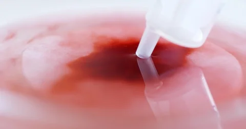 Dripping red liquid into a petri dish 스톡 동영상 88386625