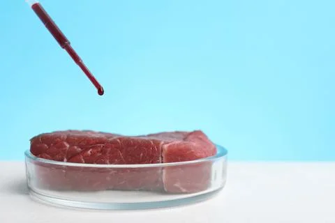 Dripping red liquid onto sample of lab grown meat on white table. Space for t Stock Photos