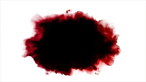 Dripping red spot on white background Stock Footage 73360870