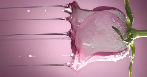 Dripping of rose oil Stock Footage 178260046