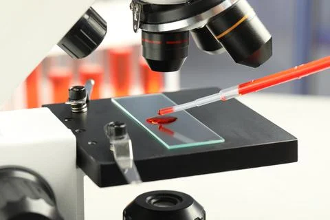 Dripping sample of red liquid onto slide under microscope in laboratory, clos Stock Photos
