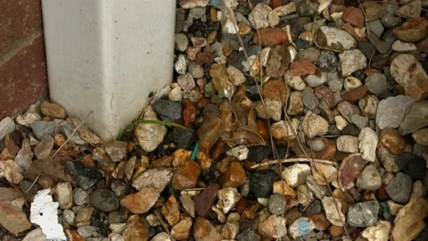 Dripping tap Stock Footage 130591117