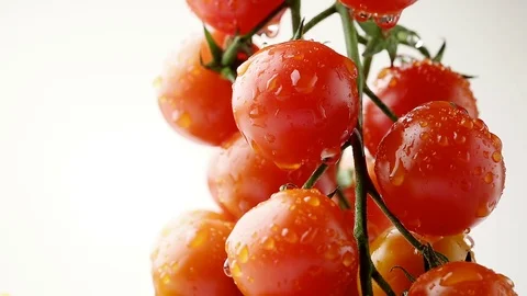 Dripping Tomatoes - HD Cinemagraph Stock Footage 74185256