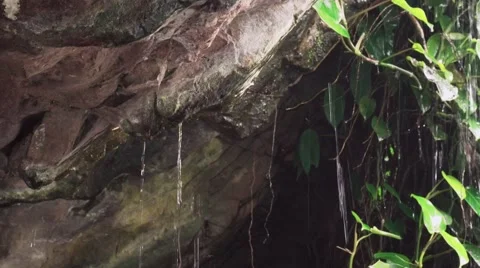 Dripping Water in Cave Stock Footage 67651799
