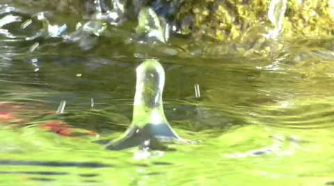 Dripping water Stock Footage 536886