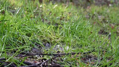 Dripping water Stock Footage 238440142