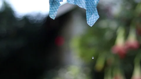 Dripping wet objects on the line 動画素材 124519464