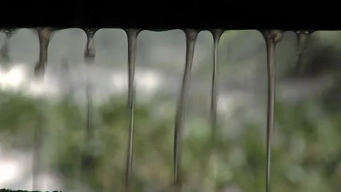 Dripping Wine on the Wine Making process in a Vineyard in Cafayate, Argentina. Stock Footage 145847566