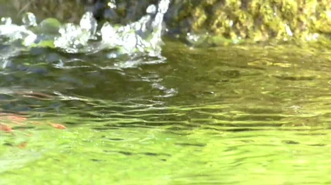 Drippingwater2 Stock Footage 527916