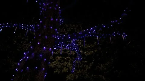 Drippy trippy tree Stock Footage 8931415