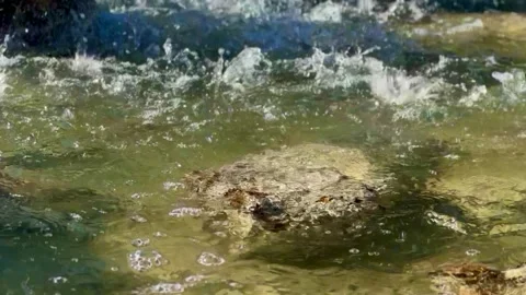 Drippy waterfall splashing surface of pond Stock Footage 270489592