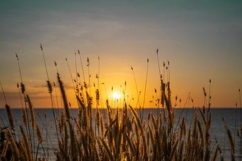 Dripstone Beach at sunset Stock Photos
