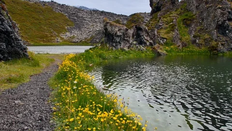 Dritvik - Beautiful beach with ship wreck, Iceland 스톡 동영상 113919389