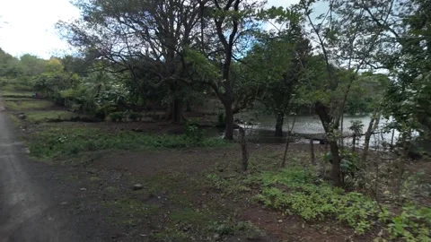 Drive along the beautiful paths of Ometepe Island, surrounded by lush nature and Stock Footage 323033628
