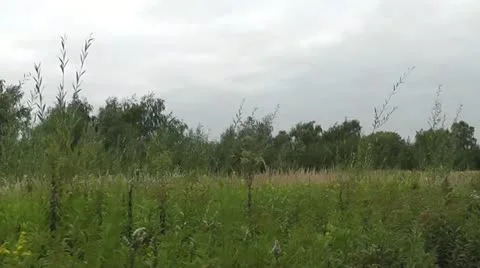 Drive along a building plot Vídeos de archivo 22001452