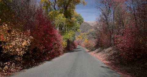 Drive beautiful autumn mountain road canyon Utah POV 8K Stock Footage 219528562