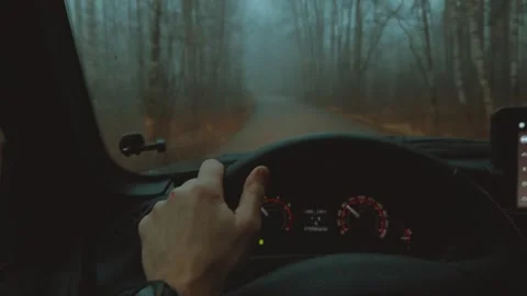 Drive a car in the forest, steer a car in the forest Stock Footage 321051591