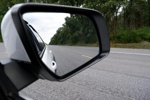 Drive a car on a scenic tree path. Stock Photos