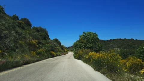 A drive on a deserted flower lined mountain road. Stock Footage 244856907