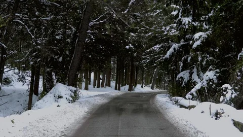 Drive on first winter snow on forest asphalt road Stock Footage 118214116