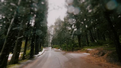Drive On First Winter Snow On Forest Asphalt Road Stock Footage 122073291