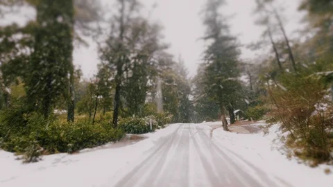 Drive On First Winter Snow On Forest Asphalt Road Stock Footage 122074463