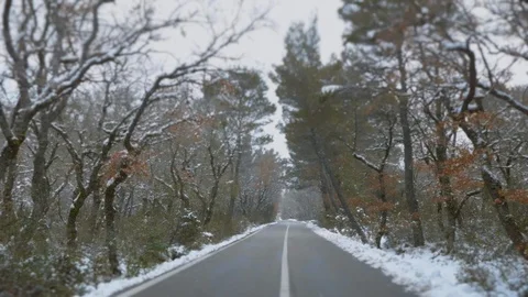 Drive On First Winter Snow On Forest Asphalt Road Stock Footage 122147593