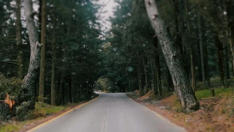 Drive On First Winter Snow On Forest Asphalt Road Stock Footage 122147964