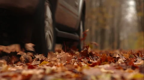 Drive by leaf swoosh Stock Footage 48870770