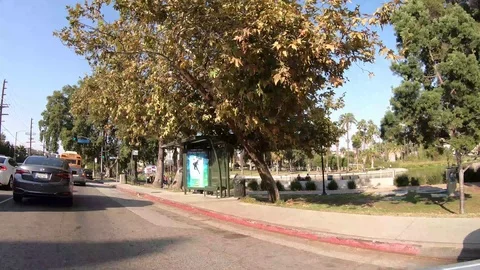 A Drive By The Park Stock Footage 123947197