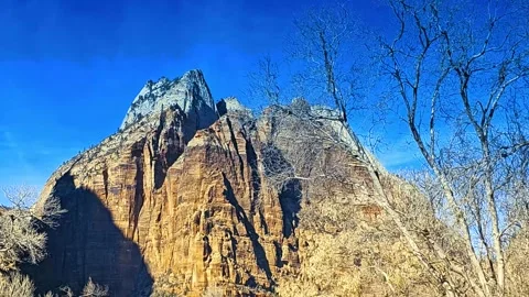Drive Plate-approaching massive rock formation past bare trees Stock Footage 263614207
