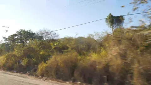 Drive Plate-Carr A las Palmas or Highway 544 roadside vegetation-POV Stock-Footage 106941714