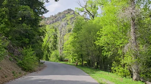 Drive Plate-Forward-Approaching USFS Bear Campground Видео 243057986