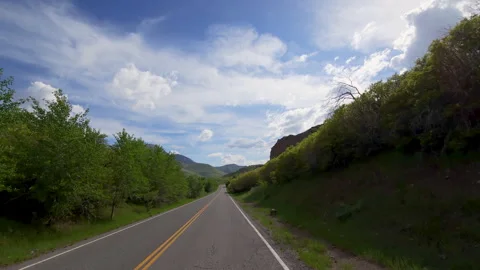 Drive Plate-Forward-Straight 2-lane lined with shrubbery toward distant mountain Stock Footage 243057653