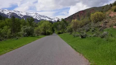 Drive Plate-Forward-Unmarked paved road tree-grass lined toward snowy Stock Footage 243058797