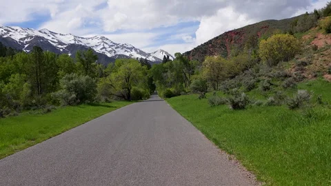Drive Plate-Forward-Unmarked paved narrow road tree-grass lined toward Vídeo Stock 243058918