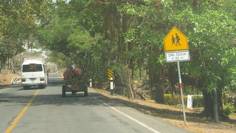 Drive Plate-Forward view-Passing horse drawn cart Nicaragua-POV Vídeo Stock 107700021