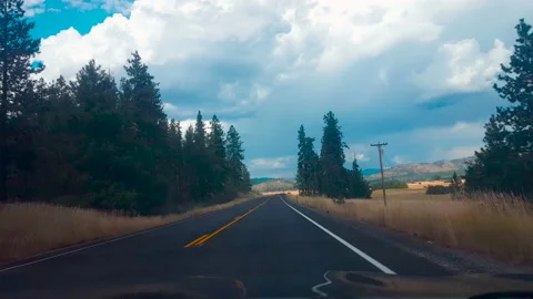 Drive Plate-Forward view-Two lane Pine forest under clouds Stock Footage 239215469