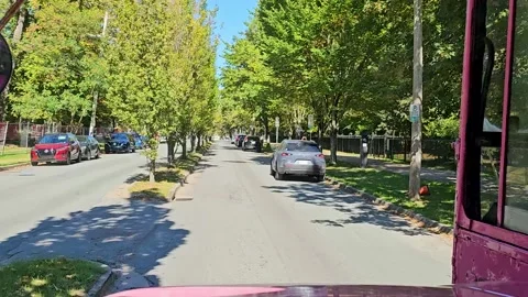 Drive Plate-Front view-Tree lined lane in Halifax Nova Scotia Stock Footage 337327598