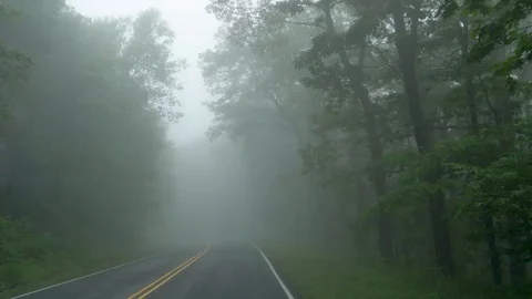 Drive Plate-Green forest into clouds-fog on curving 2 lane road-POV Stock Footage 111520227
