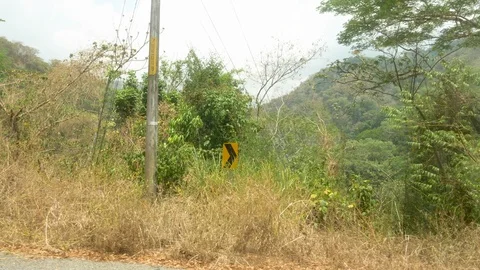 Drive Plate-Highway 27 through mountain rain forest Costa Rica-POV Side view Stock Footage 107797299