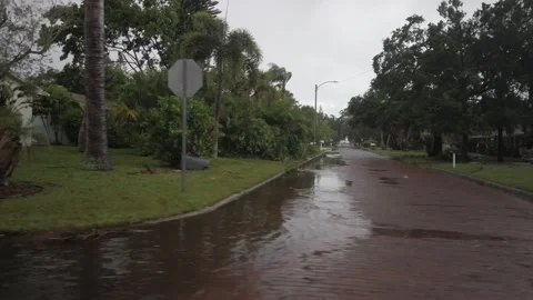 Drive Plate left side window in for lane road sunny day in Florida. Stock Footage 249637704