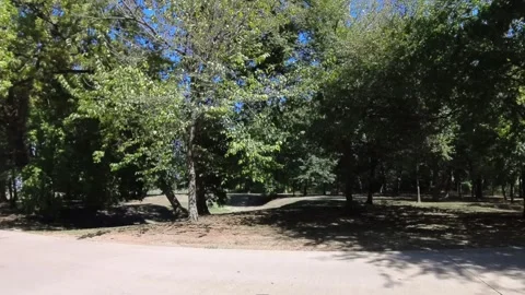 Drive plate, left window driving through forested city park with picnic table Vídeo Stock 252331842