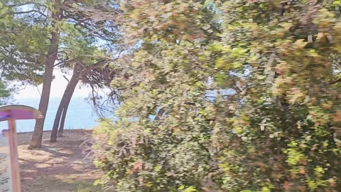 Drive Plate-Passing Ocean front park in Split, Croatia Video stock 283927559