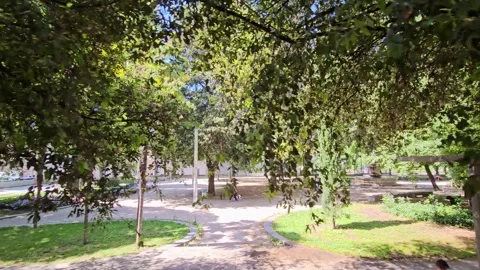 Drive Plate-Passing Park in Split Croatia Stock Footage 283927501