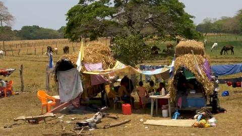 Drive Plate-Passing rows of decorated pilgram wagons Nicaragua-POV 스톡 동영상 107705071