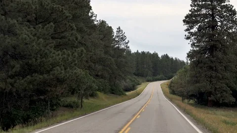 Drive Plate-POV-2-lane curving road through Mountains Pines Northern New Stock Footage