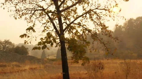 Drive Plate-POV-Booth Ranch Road-Orange tint-Haze from Oregon wildfires Stock Footage 140683407