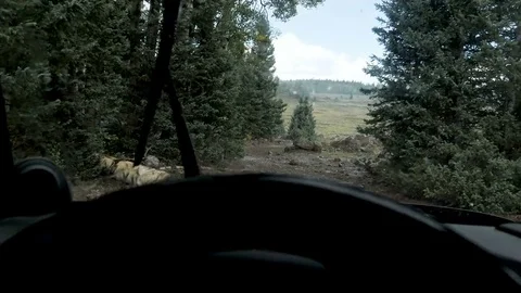 Drive Plate-POV-Bouncing over rough muddy mountain trail in the rain Stock Footage 80686523