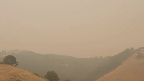 Drive Plate-POV-Interstate 5 dense smoke from Oregon wild fires Stock Footage 140701458